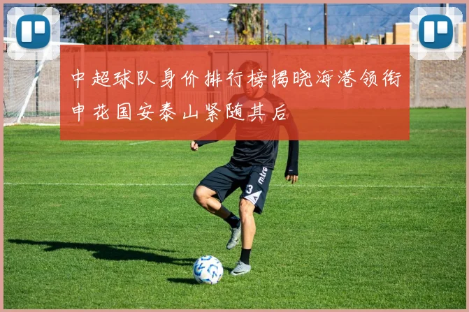 中超球队身价排行榜揭晓海港领衔申花国安泰山紧随其后